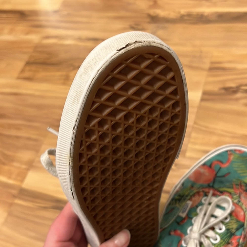 Flamingo Vans - Picture 5 of 7